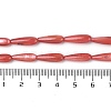 Natural Freshwater Shell Beads Strands SHEL-A004-03F-4
