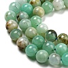 Natural Chrysoprase Beads Strands G-P503-4MM-03-4