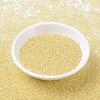 MIYUKI Round Rocailles Beads X-SEED-G007-RR0273-2
