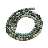 Natural African Turquoise(Jasper) Beads Strands G-P472-01-5