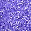 Imitation Cat Eyes Glass Seed Beads SEED-H003-03U-2