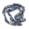 Raw Rough Natural Lapis Lazuli Beads Strands G-M453-D06-3