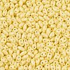 Baking Paint Glass Seed Beads SEED-T006-03B-2