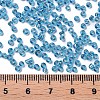 12/0 Glass Seed Beads SEED-A005-2mm-23B-3