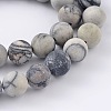 Round Frosted Natural Black Silk Stone/Netstone Bead Strands G-M248-8mm-03-2