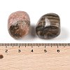 Natural Rhodonite Beads G-Z062-10B-3