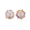 Transparent Handmade Blown Glass Globe Beads X-GLAA-T012-15-2
