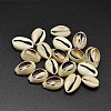 Natural Cowrie Shell Beads BSHE-O007-73-1
