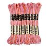 10 Skeins 6-Ply Polyester Embroidery Floss OCOR-K006-A31-1