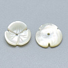 Natural White Shell Beads SSHEL-S260-023-2