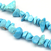 Dyed Synthetic Turquoise Stone Bead Strands X-G-R192-B24-1