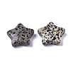Natural Dalmatian Jasper Star Shaped Worry Stones G-T132-002A-01-2