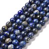 Natural Lapis Lazuli Beads Strands G-E483-17-10mm-1