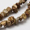 Natural Picture Jasper Beads Strands G-F328-08-3