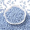 6/0 Glass Seed Beads SEED-L011-08A-23-2