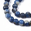 Natural Sodalite Beads Strands G-S279-10-6mm-3