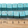 Dyed Synthetic Turquoise Beads Strands G-G075-B02-01-5