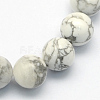 Natural Howlite Round Beads Strands G-S176-6mm-1