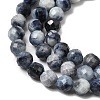 Natural Sapphire Beads Strands G-G343-B05-4mm-4