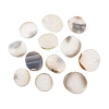 Natural Agate Home Display Decorations G-G986-01-1
