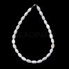 Natural Freshwater Shell Beads Strands SH-CBA2978-11-3