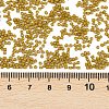 MIYUKI Delica Beads X-SEED-J020-DB0665-3