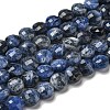 Natural Sodalite Beads Strands G-K351-A03-01-1