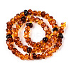 Natural Amber Beads Strands G-T138-235C-2