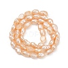 Natural Cultured Freshwater Pearl Beads Strands PEAR-P064-20H-02B-3