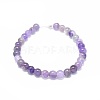 Natural Amethyst Beads Strands G-G791-11-B01-2