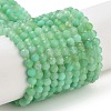 Natural Chrysoprase Beads Strands G-B088-C19-03-1