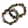 Unisex Chip Natural Labradorite Beaded Stretch Bracelets BJEW-S143-19-7