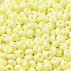 Baking Paint Glass Seed Beads SEED-B001-02A-13-3