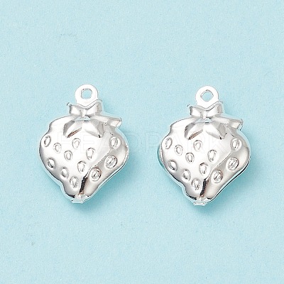 304 Stainless Steel Pendants STAS-G176-21S-1