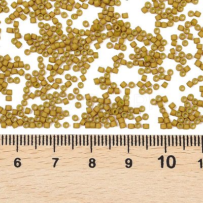 MIYUKI Delica Beads SEED-MY11-DB0665-1