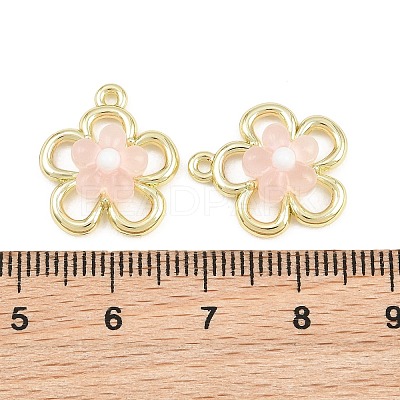 Alloy & Resin Pendants RE-CBA1FD3-13G-1