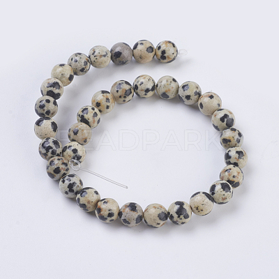 Natural Dalmation Jasper Beads Strands X-G-G515-6mm-06-1