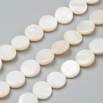 Natural Freshwater Shell Beads BSHE-I011-01D-02-1