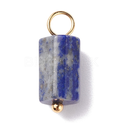 Natural Gemstone Pendants PALLOY-JF01226-1