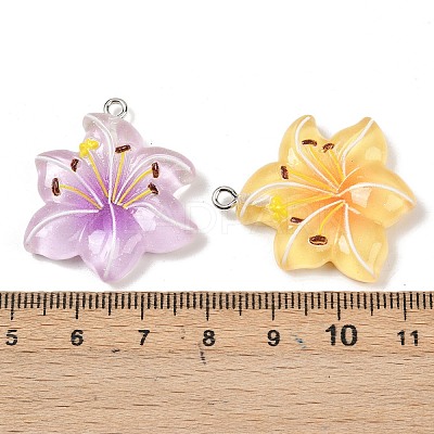 Resin Pendants RESI-D016-04B-1