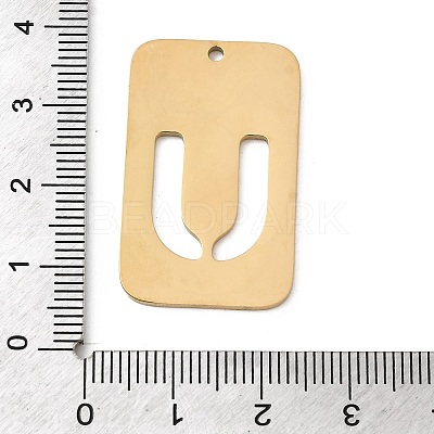 304 Stainless Steel Pendants STAS-D200-01U-G-1
