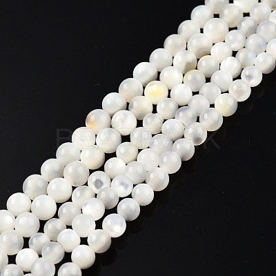 Natural White Shell Bead Strands X-SSHEL-N003-144C-01-1