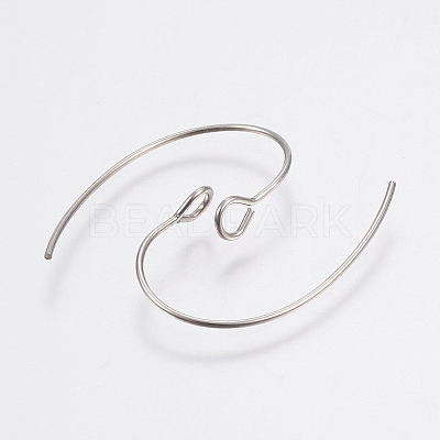Tarnish Resistant 304 Stainless Steel Earring Hooks X-STAS-F148-05P-1