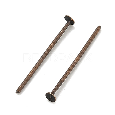 Iron Flat Head Pins X-HPR2.2cm-NF-1
