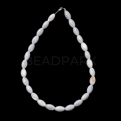 Natural Freshwater Shell Beads Strands SH-CBA2978-11-1
