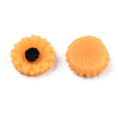 Opaque Resin Cabochons CRES-S307-005A-1