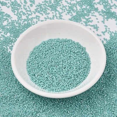 MIYUKI Delica Beads SEED-X0054-DB1576-1