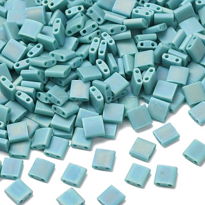 MIYUKI TILA Beads X-SEED-J020-TL412FR-1