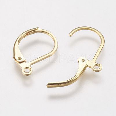 304 Stainless Steel Leverback Earring Findings STAS-F141-03G-1