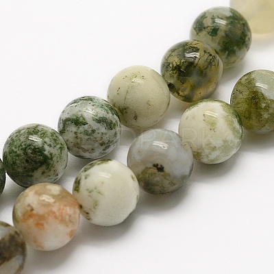 Natural Tree Agate Beads Strands G-K194-10mm-02-1